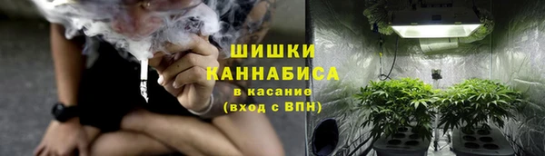 гидра Абаза