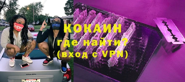 гидра Абаза