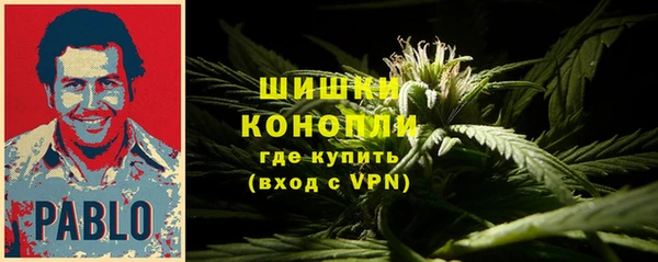 гидра Абаза